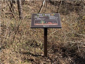 산림홍보입간판 제작 시공 전 후